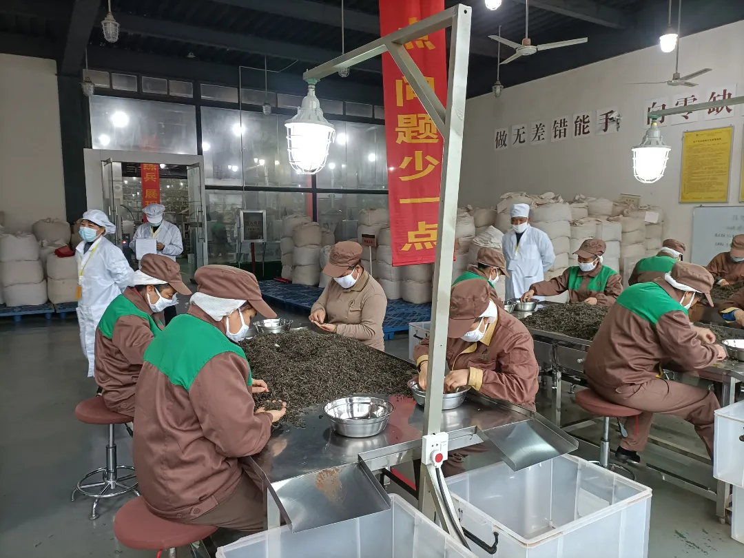 精益求精&middot;鑄造品質｜六大茶山第十四屆技術大比武圓滿完成